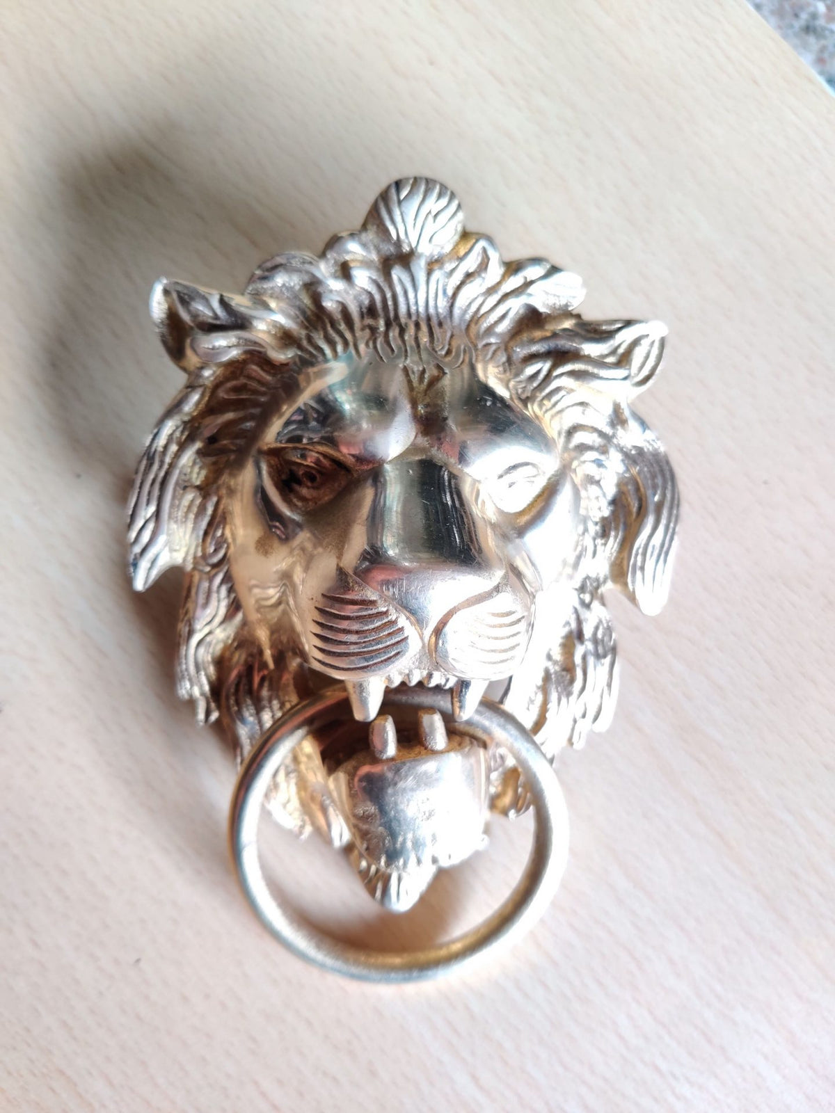 Lion Rear Mudguard image 0