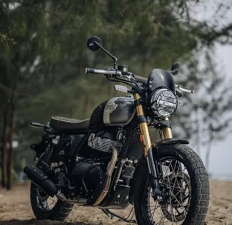 TALL TINTED FLYSCREEN - WINDSHIELD - INT BEAR 650 image 0